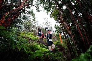 BIB: 
                            <button type="button" onclick="openModal(26202441)" class="btn btn-primary btn-sm float-right btn-popup" data-toggle="modal" data-target=".modal-high-quality">
                        <i class="fas fa-shopping-cart"></i> Add to Cart
                    </button>
                                            <button type="button" onclick="isThisMe(26202441, true)" class="btn btn-success btn-sm float-right btn-popup btn-isme hidden" data-toggle="tooltip" data-placement="bottom" title="นี่คือรูปของคุณใช่ไหม คลิกที่นี่เพื่อเอาเข้าอัลบั้ม">
                        <i class="fas fa-plus"></i> Add to album
                    </button>
                    <button type="button" onclick="isThisMe(26202441, false)" class="btn btn-warning btn-sm float-right btn-popup btn-isnotme hidden">
                        <i class="fas fa-ban"></i> Remove from album
                    </button>